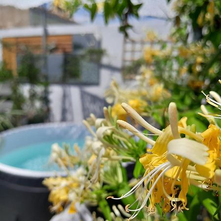 Bed and Breakfast Le Petit Patio Эг-Морт Экстерьер фото
