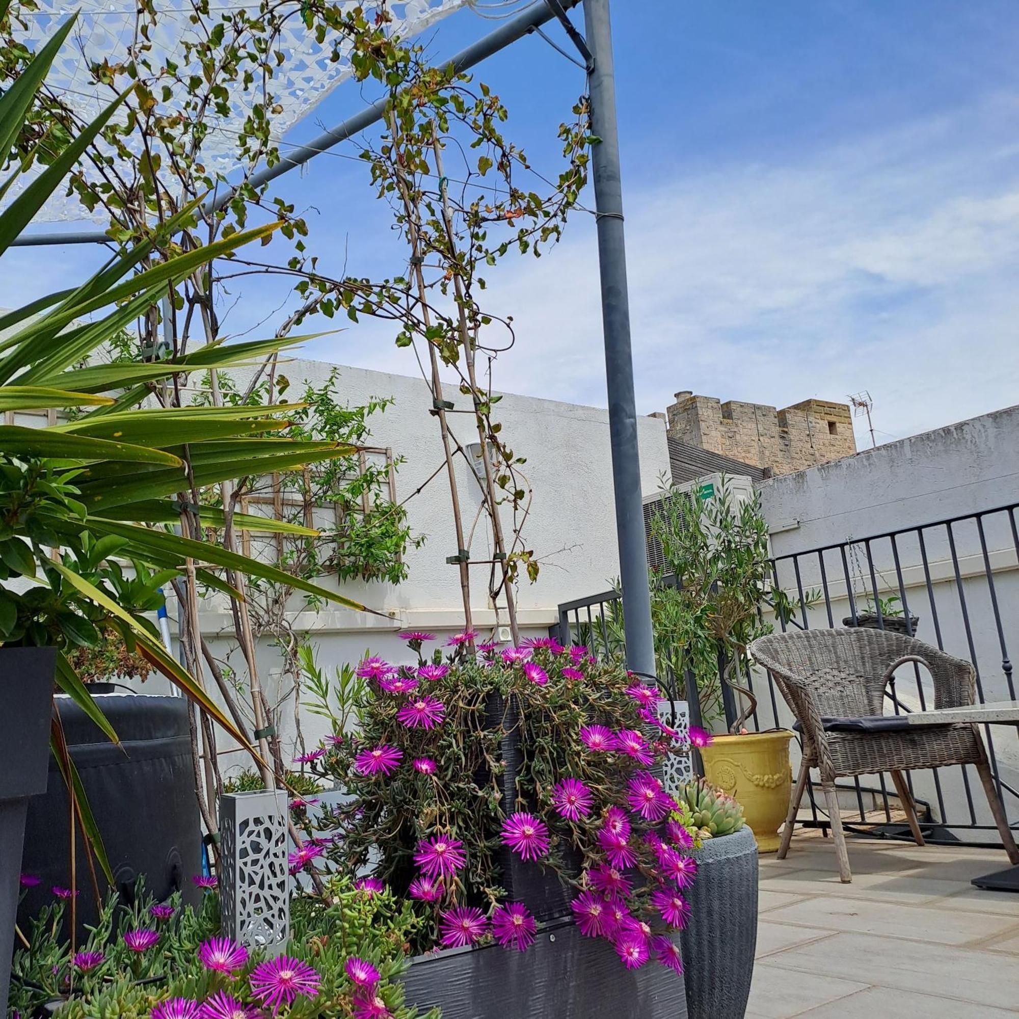 Bed and Breakfast Le Petit Patio Эг-Морт Экстерьер фото