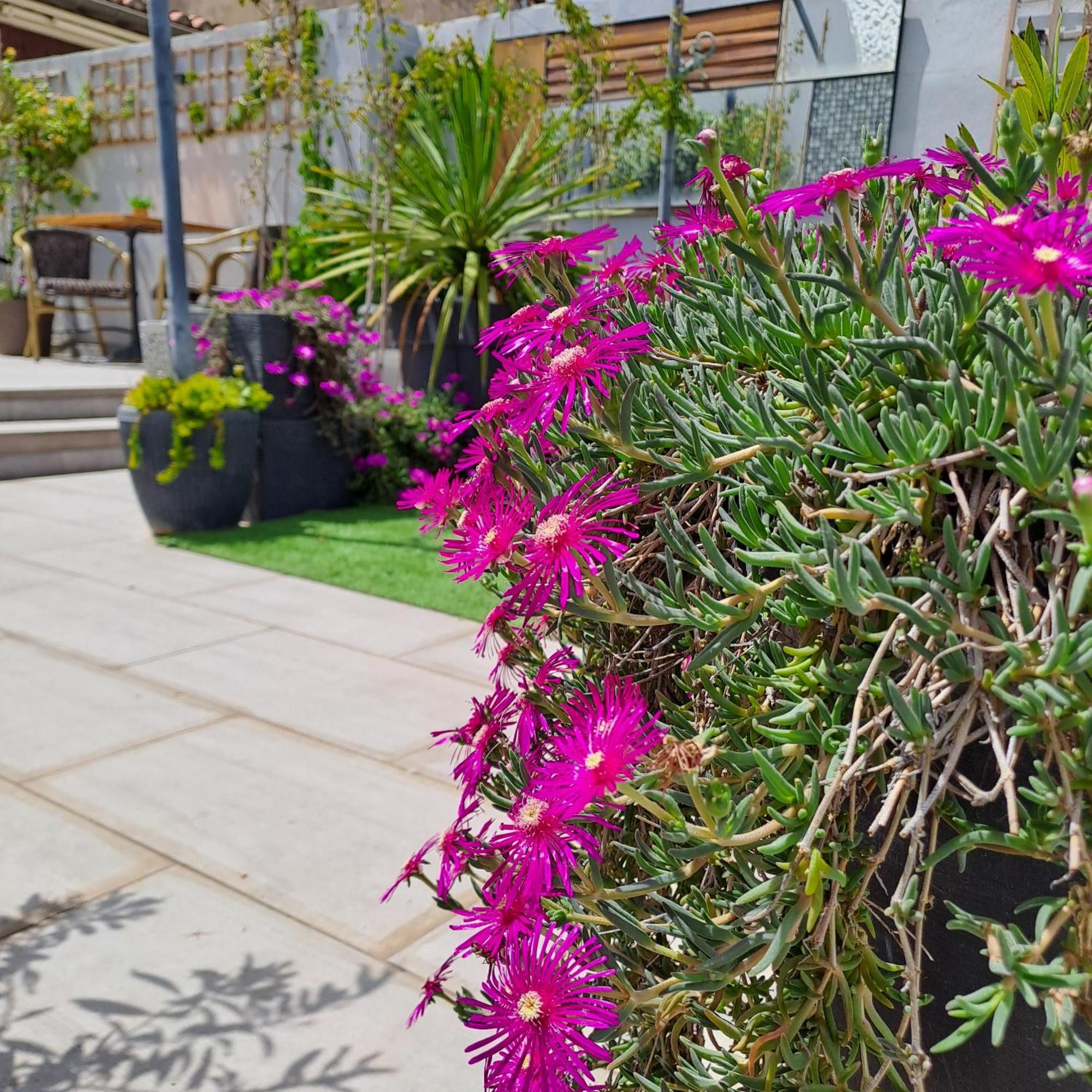 Bed and Breakfast Le Petit Patio Эг-Морт Экстерьер фото